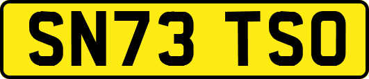 SN73TSO