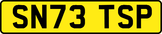 SN73TSP