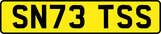 SN73TSS