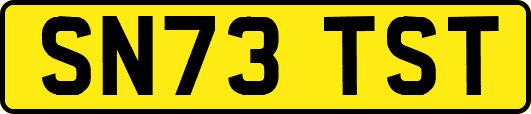 SN73TST