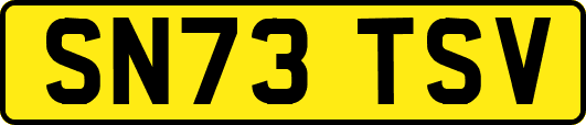 SN73TSV