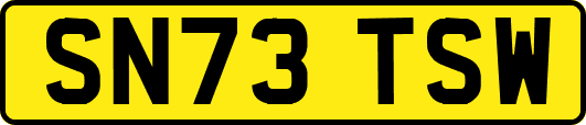 SN73TSW