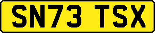 SN73TSX