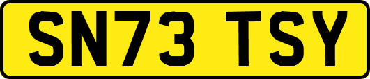 SN73TSY