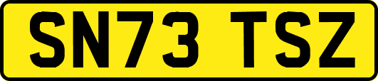 SN73TSZ