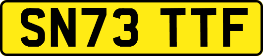SN73TTF