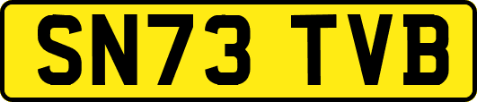 SN73TVB