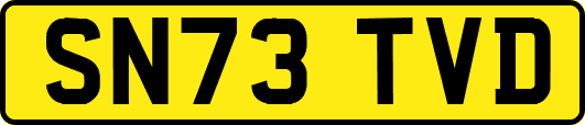 SN73TVD