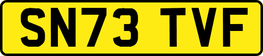 SN73TVF