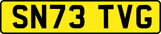 SN73TVG