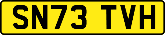 SN73TVH