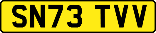 SN73TVV