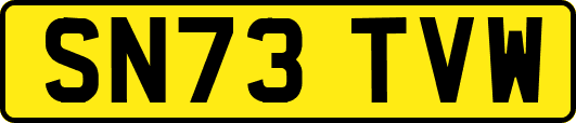 SN73TVW