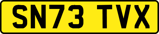 SN73TVX