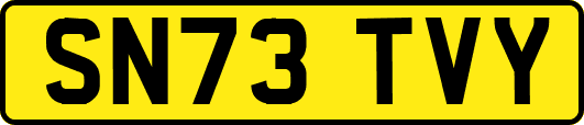 SN73TVY