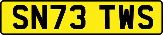 SN73TWS
