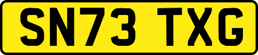 SN73TXG