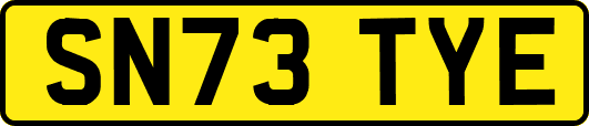 SN73TYE
