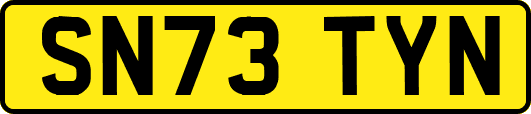SN73TYN