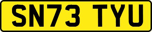 SN73TYU