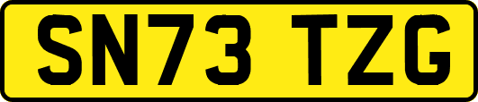 SN73TZG