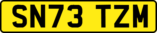 SN73TZM