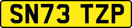 SN73TZP