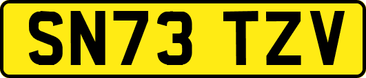 SN73TZV