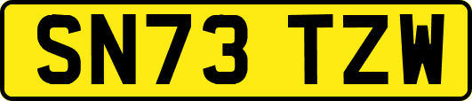 SN73TZW