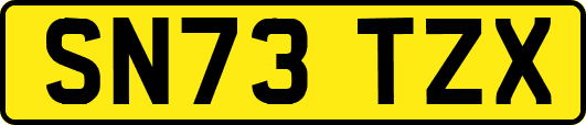 SN73TZX
