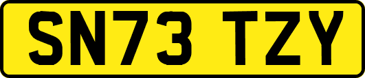 SN73TZY
