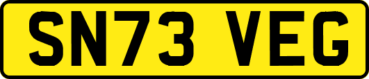 SN73VEG