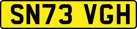 SN73VGH