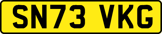 SN73VKG