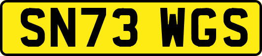 SN73WGS