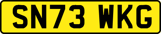 SN73WKG