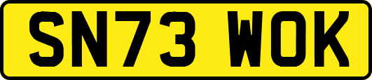 SN73WOK