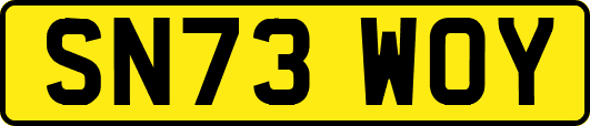 SN73WOY