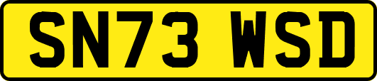 SN73WSD