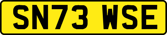 SN73WSE