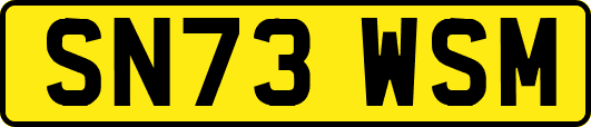 SN73WSM
