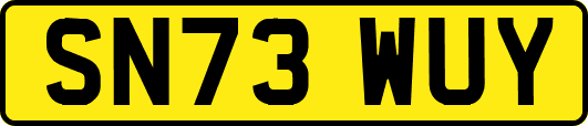SN73WUY