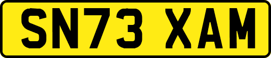 SN73XAM