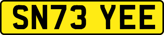 SN73YEE