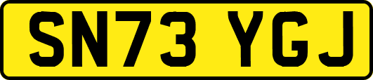 SN73YGJ