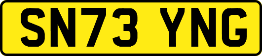 SN73YNG