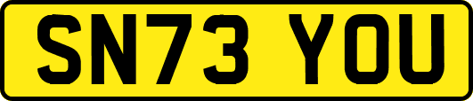 SN73YOU
