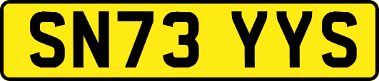 SN73YYS