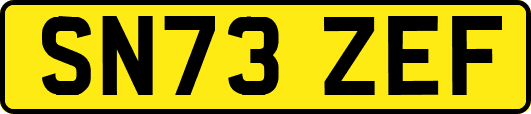 SN73ZEF