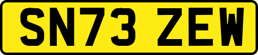SN73ZEW